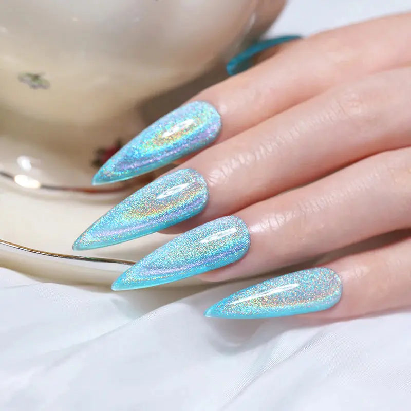 Born Pretty Rainbow Holographic Cat Magnetic Gel MY110